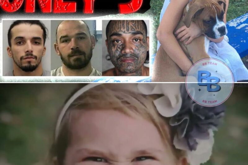 Police Needed Therapy After Witnessing This Crime