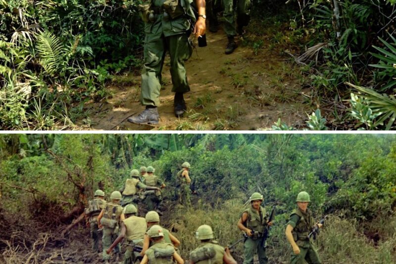 Vietnam’s TERRIBLE Patrol Conditions of a Grunt!