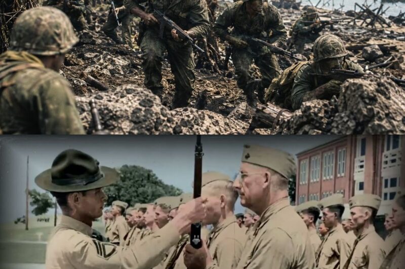 What Japanese Soldiers Said After Facing the US Marines