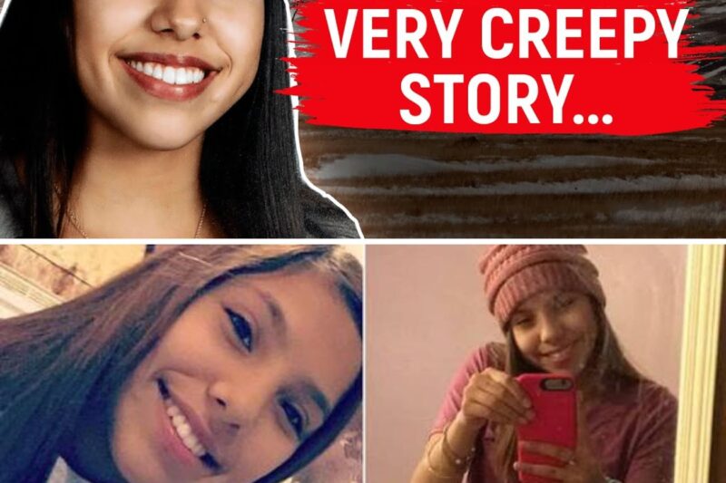 The girl disappeared on her way home. Twenty days later, the HORRIFYING TRUTH shocked the world