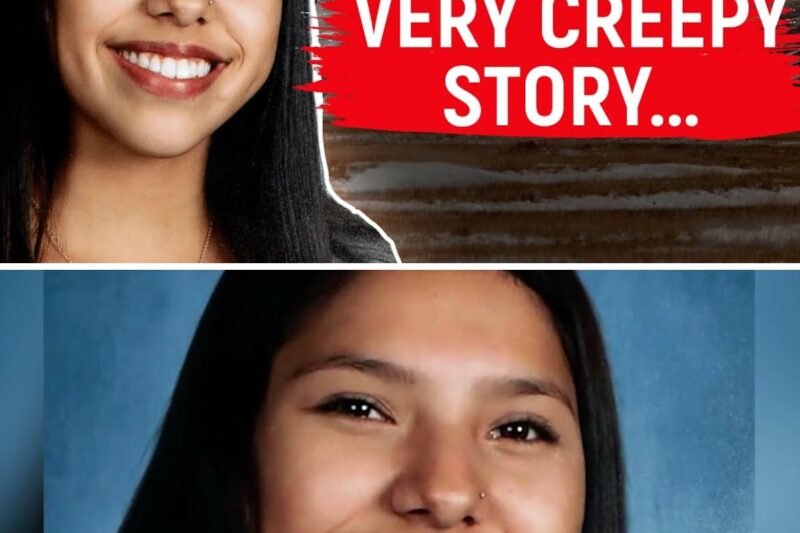 The girl disappeared on her way home. Twenty days later, the HORRIFYING TRUTH shocked the world 