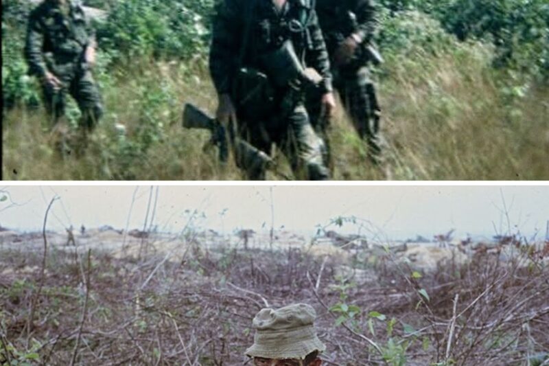 NVA Scouts Laughed At “Quiet Australians”, Until An SAS Patrol Shut Down Their Entire Operation 