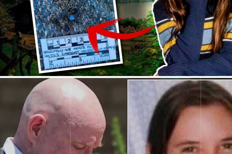 Went on a trip and DISAPPEARED. A years later, the HORRIFYING TRUTH about Hayley Dodd was uncovered.