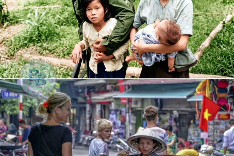 Why Don’t Vietnamese People Hate Americans Even After The War