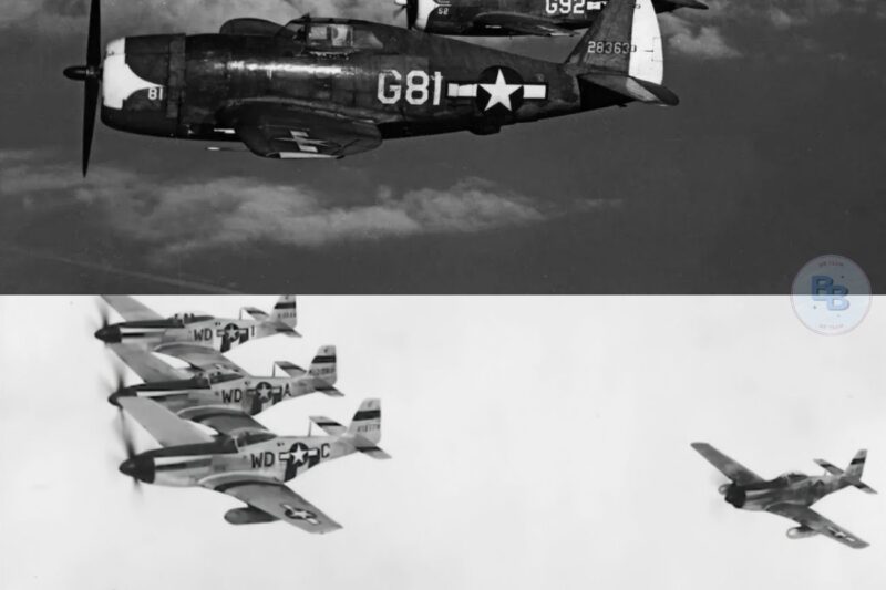 German Pilots Laughed At The P-47 Thunderbolt, Until Its Eight .50s Rained Lead on Them 