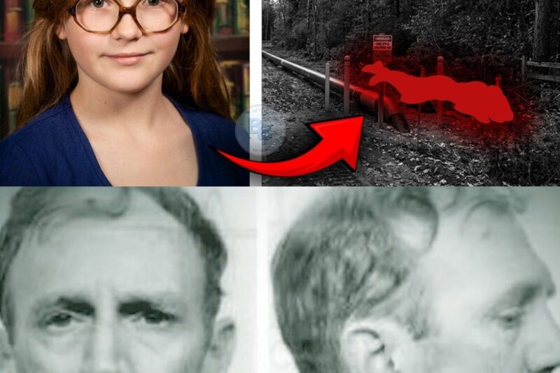 A 1979 Texas Murder Mystery Solved: DNA Evidence Shocks Investigators After Decades