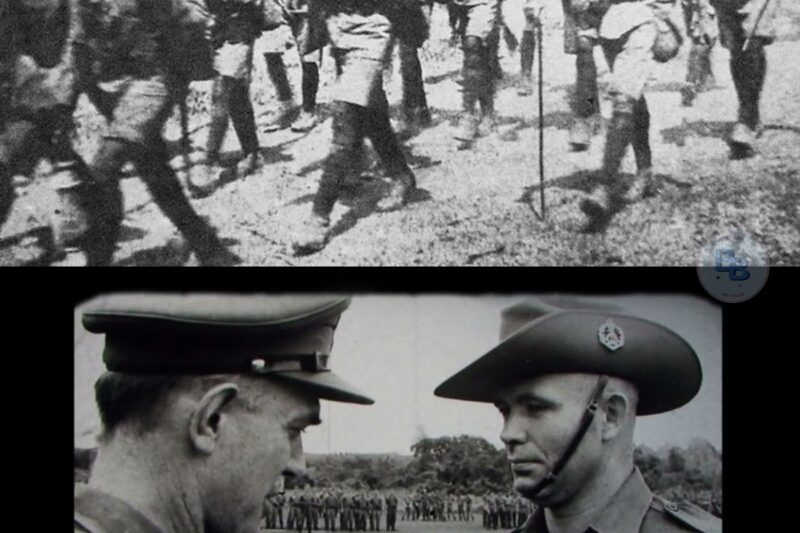 They Captured SASR Aboriginal Tracker—2 Hours Later, Entire VC Platoon Was Found “Decorating” Trees 