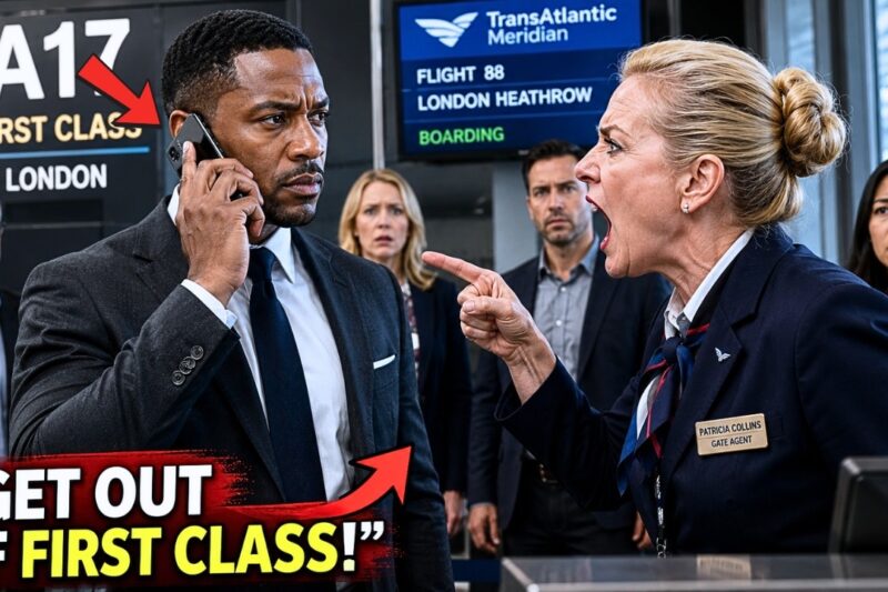 Black CEO Denied First Class Seat — One Call Freezes 152 Flights and $2.1 Billion in Revenue