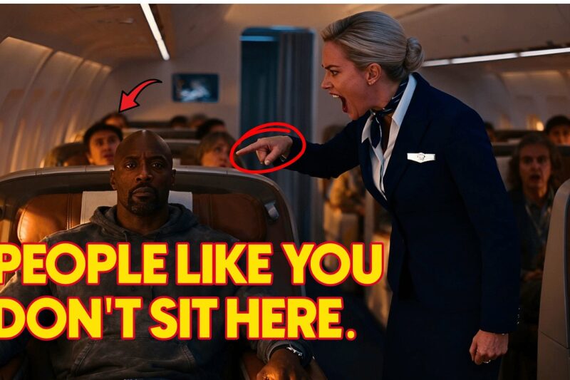She Tried to Remove a Sleeping Black CEO From First Class — Then Learned He Owned the Entire Airline