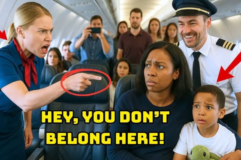 Black CEO Denied First Class Seat — 10 Minutes Later, She Fires the Entire First Class Crew