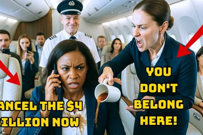 They Refused to Let a Black CEO Sit in First Class — Minutes Later, She Destroyed a $4B Airline Deal