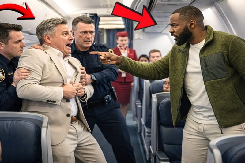 A Black CEO Was Humiliated in the VIP Cabin — Moments Later, One Call Got the Entire Staff Fired