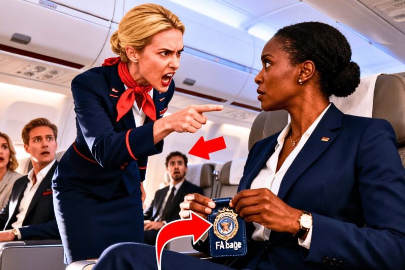 Flight Attendant Demands Black Woman Move — Freezes When She Reveals FAA Credentials