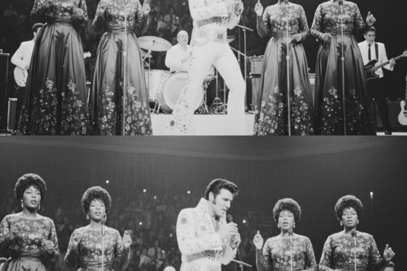 Elvis STOPPED entire Concert After Racist Slur — What He Did Next Changed History (Montgomery 1969)