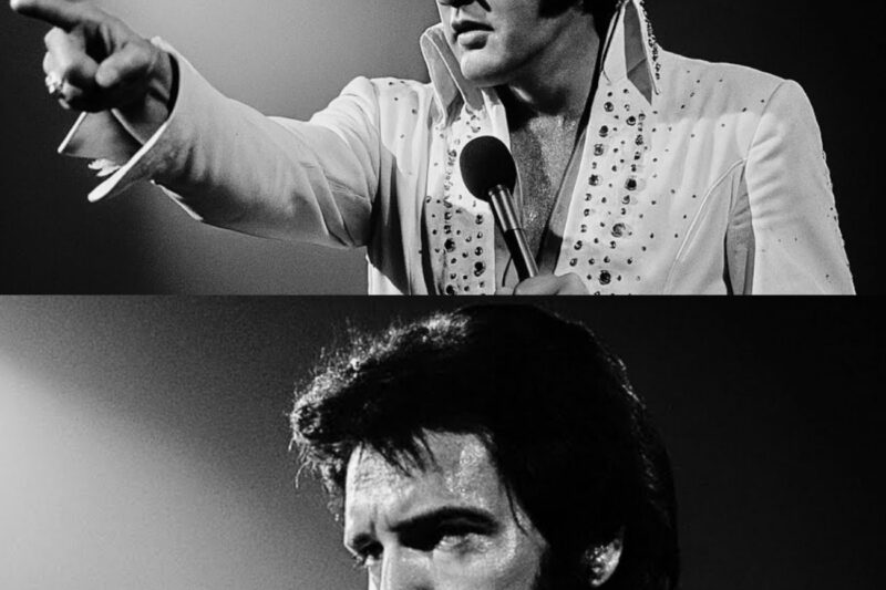 Elvis Stopped Concert When He Saw THIS in Audience — Security Couldn’t Believe It