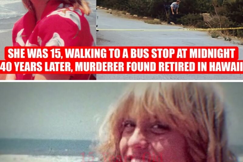 California 1982 Cold Case EXPOSED After 40 Years of Silence 