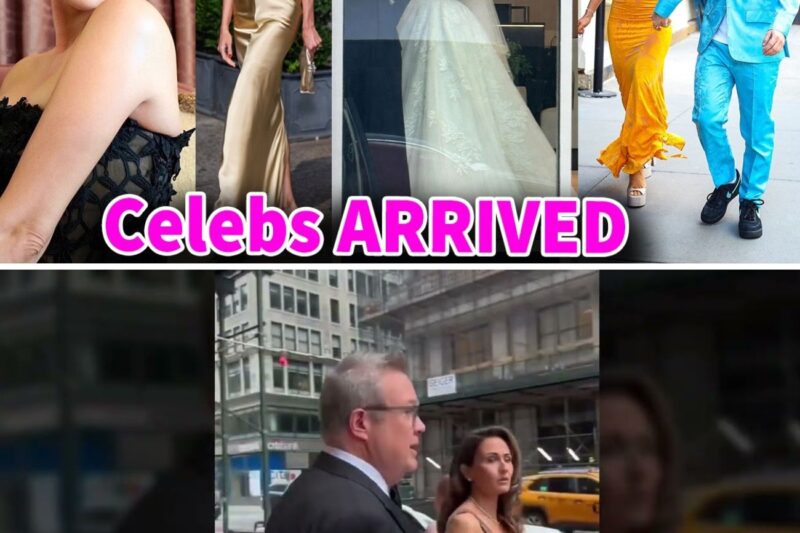 The Ultimate Crossover: Every Icon Who Arrived for the Wedding of the Century