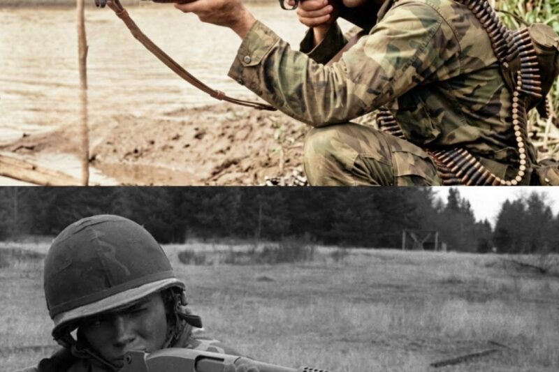 The HORRORS of the Ithaca 37 in the Mekong Delta — Why the VC Feared Navy SEALs