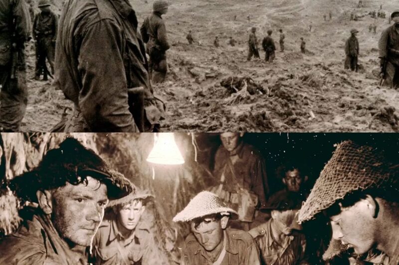 “The Americans Failed Twice” — How 3RAR Took The Hill The US Army Couldn’t