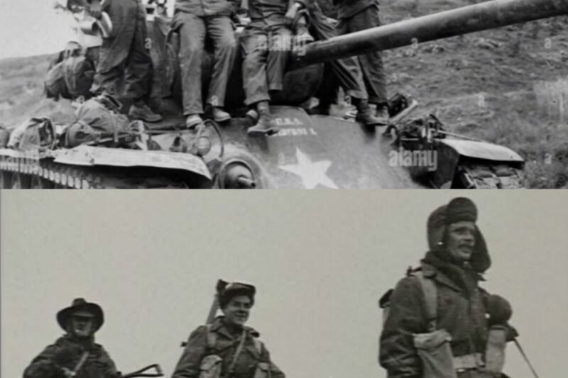 “MacArthur’s Paratroopers Couldn’t Hold Them” — How 3RAR Crushed The Regiment US Airborne Lost”MacArthur’s Paratroopers Couldn’t Hold Them” — How 3RAR Crushed The Regiment US Airborne Lost