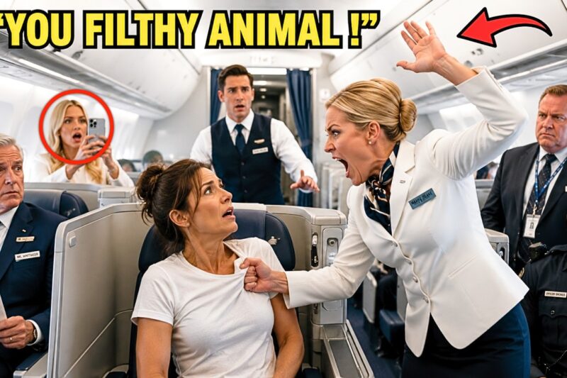 “Get Out of First Class!” Attendant Slapped Black Woman — Then Froze When She Said “I Own the Plane”