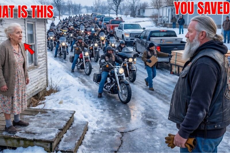 Old Lady Fed 19 Freezing Bikers in a Storm — Next Morning, 107 Hells Angels Arrived