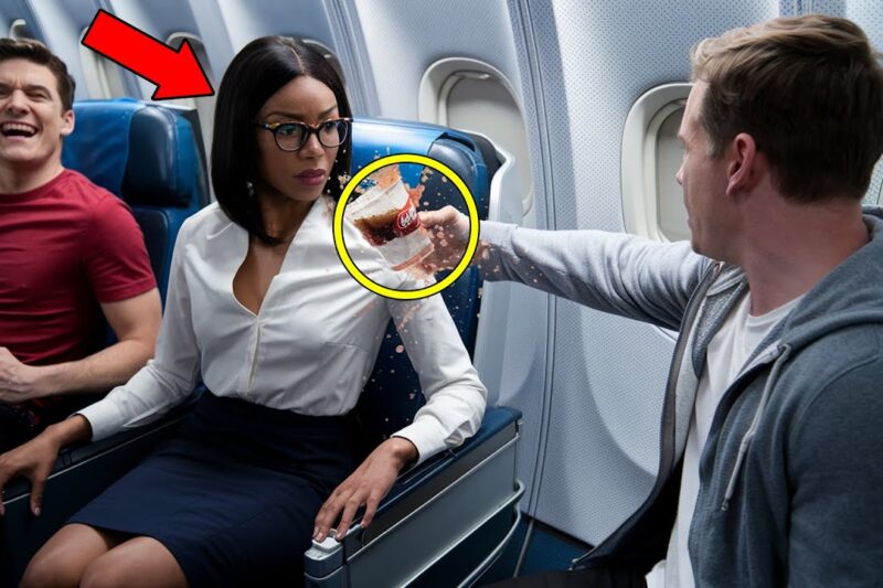 They Threw Coke on a Black Woman During Flight — Her Billionaire Husband Fired the Entire Crew