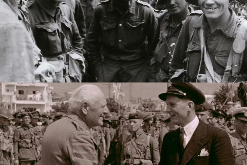 «Pretend It Never Happened» — How Australians Beat Vichy France In A War Britain Buried