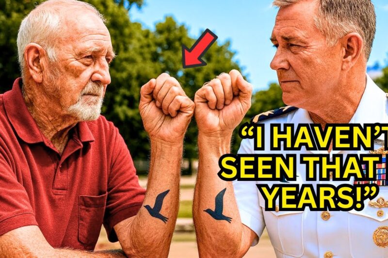 US Marines Laughed at the Old Veteran’s Tattoo — Until the Admiral Rolled Up His Sleeve 