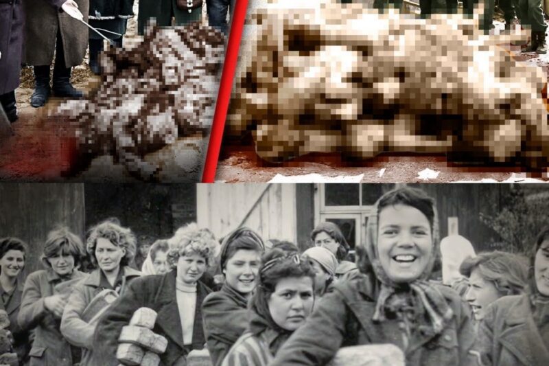 The brutal execution of SS soldiers at Chenogne. WARNING: GRAPHIC IMAGES.