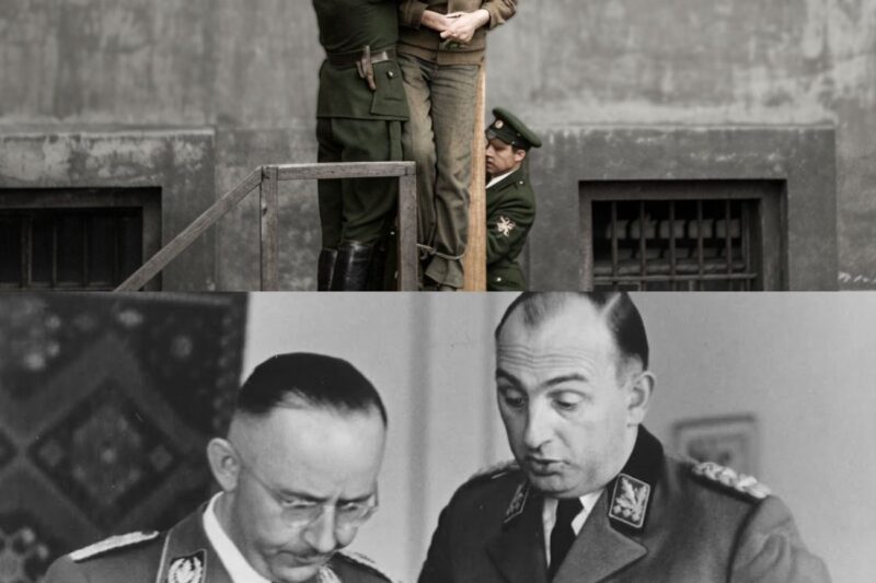 Public Pole Execution of Hitler’s Police Chief for the Lidice Massacre
