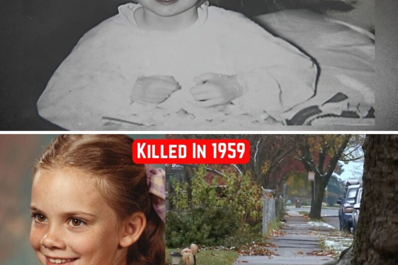 The Oldest Cold Case Solved by a Single Drop of DNA