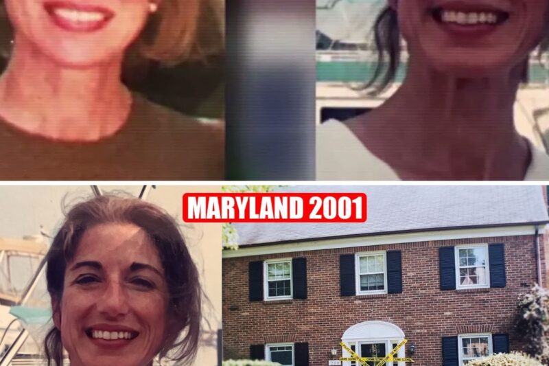 Maryland 2001 Cold Case That Fooled Everyone for 23 Years