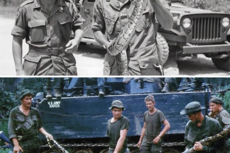 Vietnam’s most HORRIFYING moments for US Soldiers!
