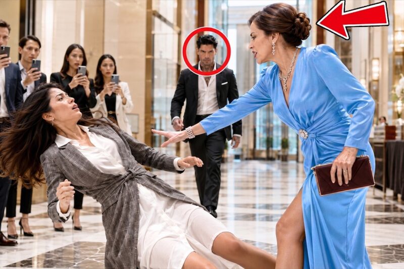 A Billionaire Family Mocked and Publicly Humiliated a Mafia Boss’s Sister During a High-Society Event — Dismissing Her as “Nothing Special” and Even Pushing Her Aside in Front of Guests, Not Knowing Her Hidden Identity Was Tied to One of the Most Dangerous Underworld Figures in the City; What Followed Within Minutes Turned the Entire Gala Into Chaos as Security Systems Locked Down, Powerful Allies Arrived Without Warning, and the Once-Arrogant Family Suddenly Found Themselves Begging for Mercy While Everyone Watched in Shock — And the Final Twist That Was Revealed After That Night Left the Entire Elite Circle Speechless
