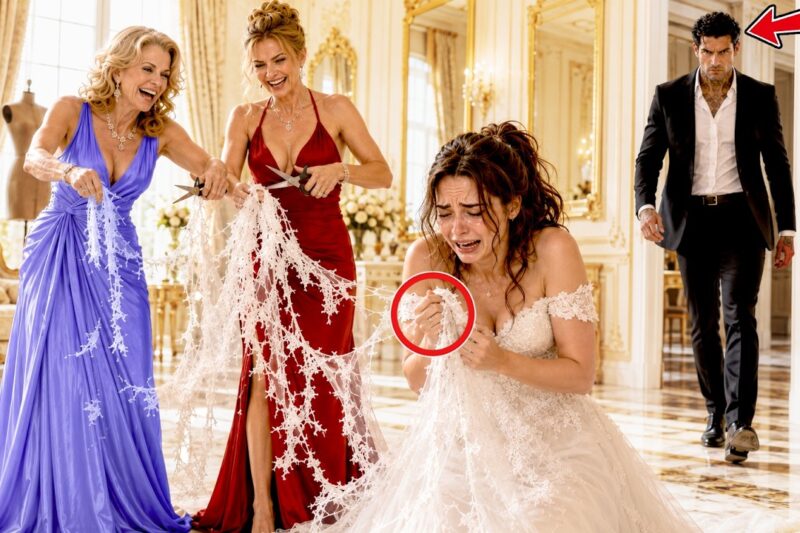 They Tore the Bride’s Veil Apart in Front of the Guests, Laughing and Mocking Her as if She Were Unworthy of the Wedding Day She Had Dreamed Of — But None of Them Realized They Had Just Humiliated the One Woman Protected by a Man No One Dared to Cross; Moments Later, the Ceremony Was Thrown Into Complete Chaos When a Powerful Mafia Boss Arrived Without Warning, Silenced the Entire Venue, and Immediately Shut Down the Wedding, Leaving the Groom’s Family Pale, the Guests Stunned, and the Truth About the Bride’s Hidden Connection Unfolding in a Way That No One Present Would Ever Forget