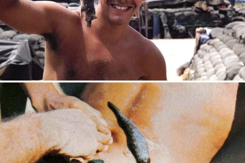 Vietnam’s most DISGUSTING CREATURES for U.S Soldiers!