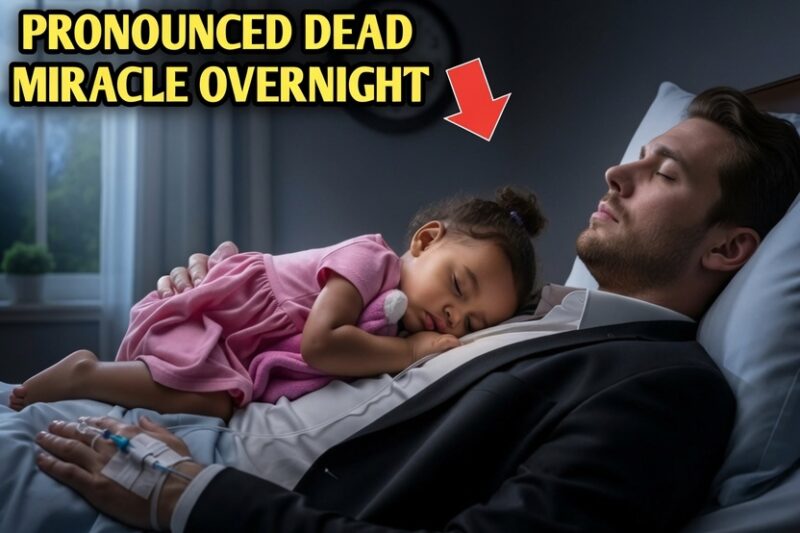 All Doctors Gave Up… Billionaire Declared DEAD—Until Poor Maid’s Toddler Slept On Him Overnight