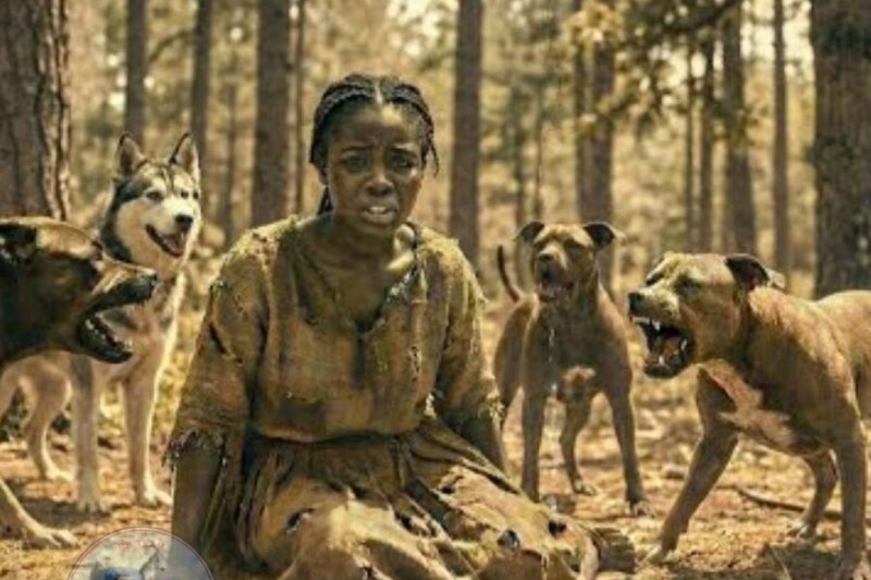 10 Hunting Dogs Surrounded a Runaway Black Slave—The Hunter Never Saw It Coming