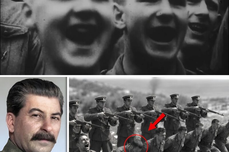 91,000 Germans Surrendered at Stalingrad — Only 6,000 Ever Came Back