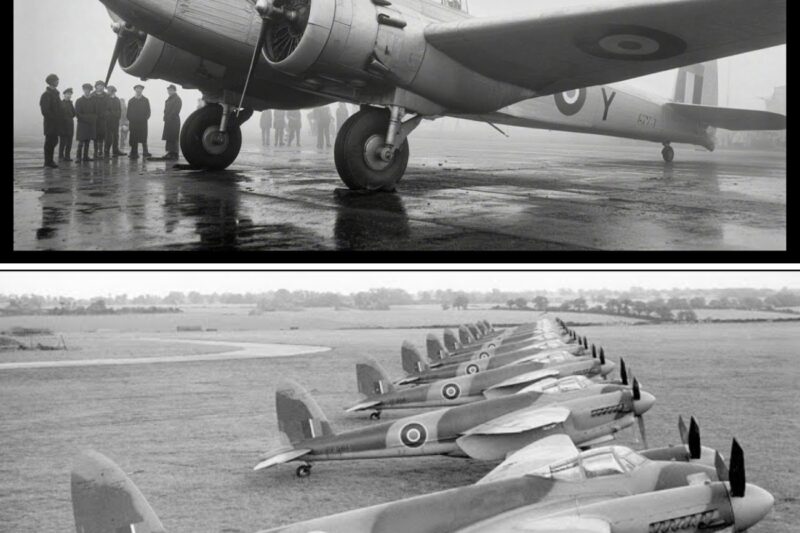 Luftwaffe Laughed at RAF’s New ‘Wooden Plane’—Until It Outran Their Fighters With 400 MPH