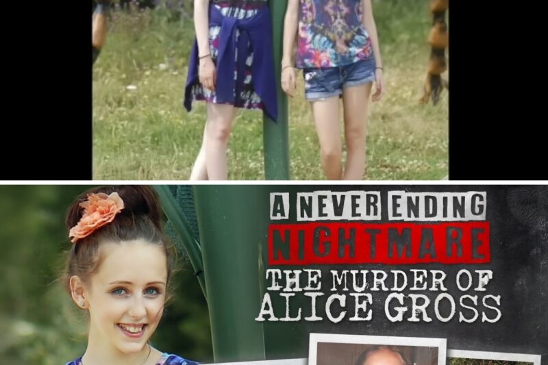 A Never Ending Nightmare: The Murder Of Alice Gross