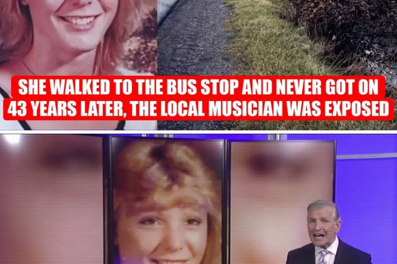 A 43 Year Michigan Cold Case Was Just SOLVED and Nobody Saw It Coming 