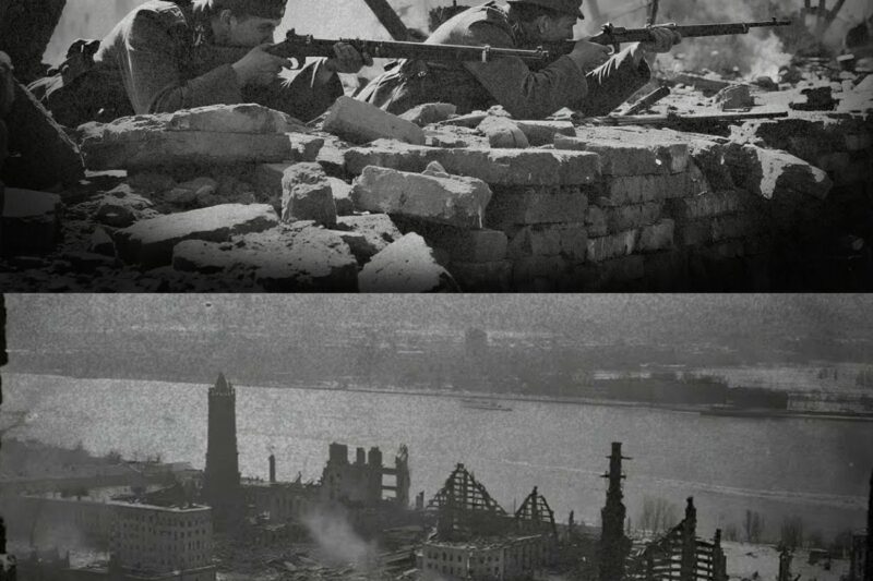 Letters from Stalingrad – The Wehrmacht’s Final Stand