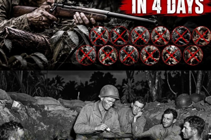 They Mocked His ‘Mail-Order’ Rifle — Until He Killed 11 Japanese Snipers in 4 Days