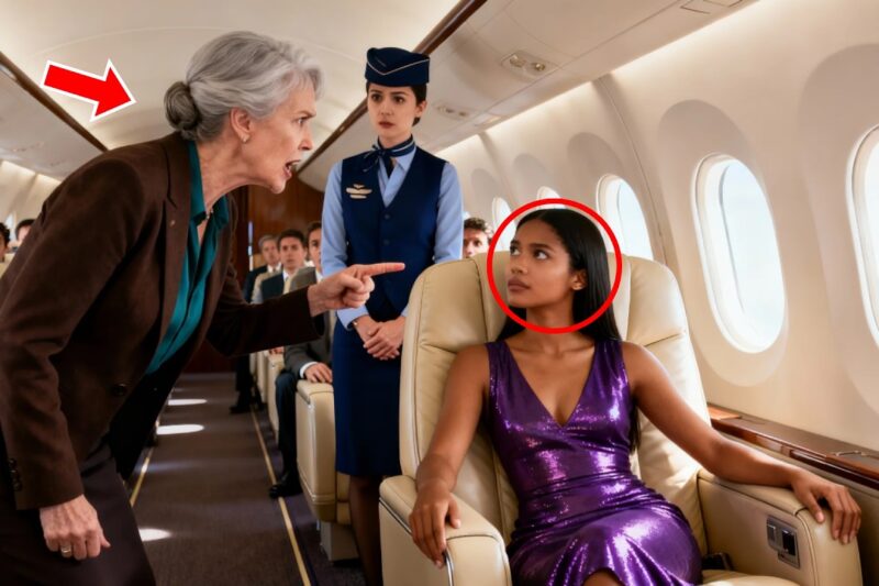 Black CEO’s Seat Snatched by White Passenger — Then Her Private Jet Touches Down…