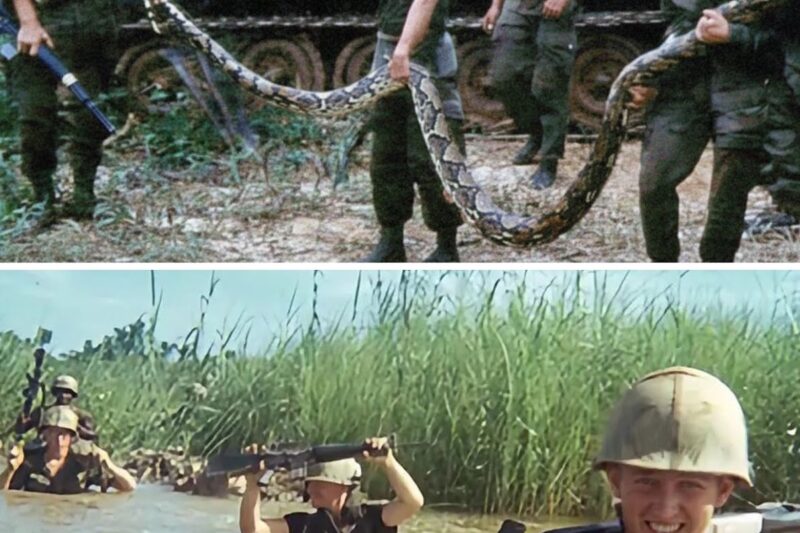 Vietnam’s most HORRIFYING moments for US Soldiers! 