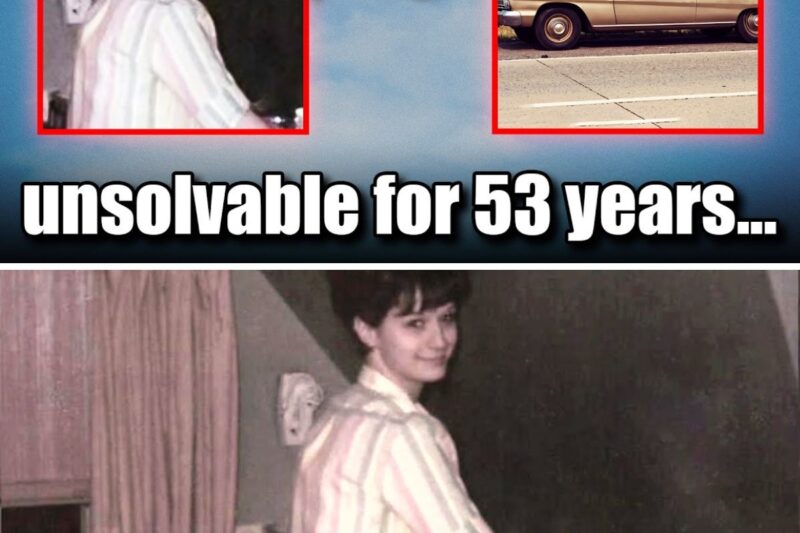 Her Car Broke Down… 53 Years Later, DNA Revealed Who Stopped Behind Her 