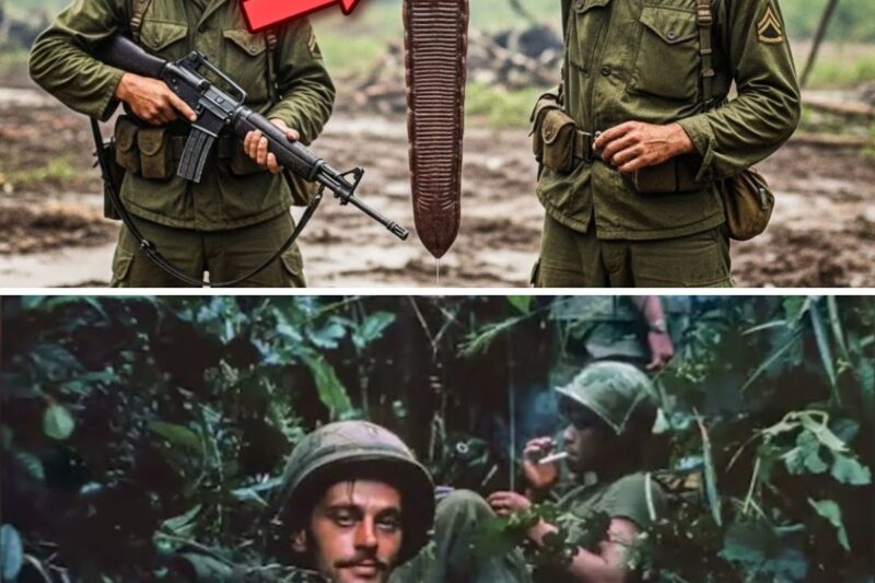 Vietnam’s 5 Most BLOODTHIRSTY Parasites for U.S. Soldiers