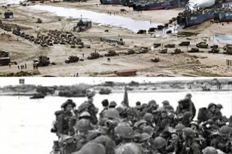 D Day From The German Perspective